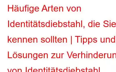 Häufige Arten von Identitätsdiebstahl, die Sie kennen sollten | Tipps und Lösungen zur Verhinderung von Identitätsdiebstahl