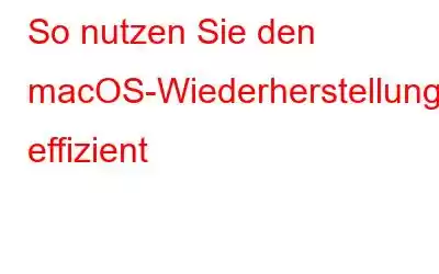 So nutzen Sie den macOS-Wiederherstellungsmodus effizient