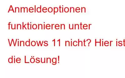 Anmeldeoptionen funktionieren unter Windows 11 nicht? Hier ist die Lösung!