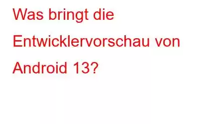 Was bringt die Entwicklervorschau von Android 13?