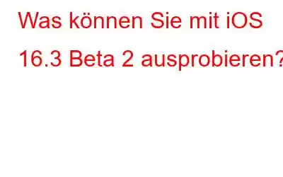 Was können Sie mit iOS 16.3 Beta 2 ausprobieren?