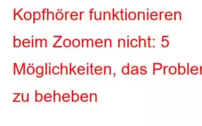 Kopfhörer funktionieren beim Zoomen nicht: 5 Möglichkeiten, das Problem zu beheben