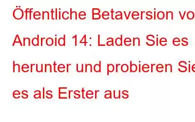 Öffentliche Betaversion von Android 14: Laden Sie es herunter und probieren Sie es als Erster aus