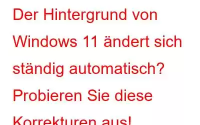 Der Hintergrund von Windows 11 ändert sich ständig automatisch? Probieren Sie diese Korrekturen aus!