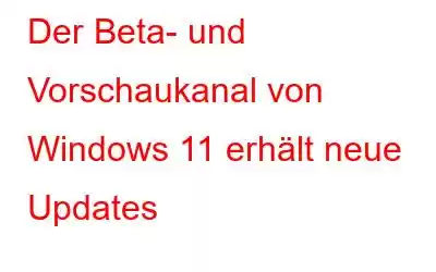 Der Beta- und Vorschaukanal von Windows 11 erhält neue Updates