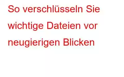 So verschlüsseln Sie wichtige Dateien vor neugierigen Blicken