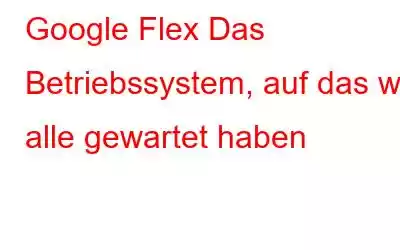 Google Flex Das Betriebssystem, auf das wir alle gewartet haben