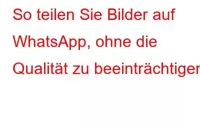 So teilen Sie Bilder auf WhatsApp, ohne die Qualität zu beeinträchtigen