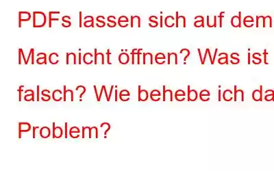 PDFs lassen sich auf dem Mac nicht öffnen? Was ist falsch? Wie behebe ich das Problem?