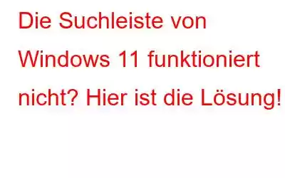 Die Suchleiste von Windows 11 funktioniert nicht? Hier ist die Lösung!