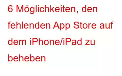 6 Möglichkeiten, den fehlenden App Store auf dem iPhone/iPad zu beheben