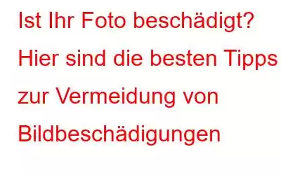 Ist Ihr Foto beschädigt? Hier sind die besten Tipps zur Vermeidung von Bildbeschädigungen