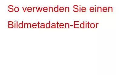 So verwenden Sie einen Bildmetadaten-Editor