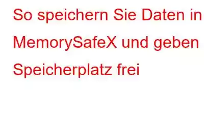 So speichern Sie Daten in MemorySafeX und geben Speicherplatz frei