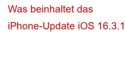 Was beinhaltet das iPhone-Update iOS 16.3.1?