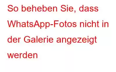 So beheben Sie, dass WhatsApp-Fotos nicht in der Galerie angezeigt werden