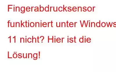 Fingerabdrucksensor funktioniert unter Windows 11 nicht? Hier ist die Lösung!