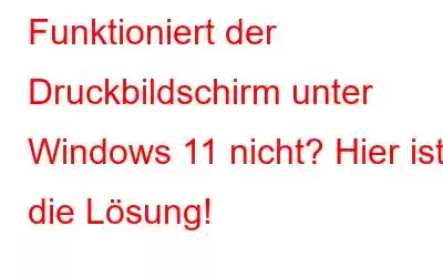 Funktioniert der Druckbildschirm unter Windows 11 nicht? Hier ist die Lösung!