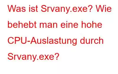 Was ist Srvany.exe? Wie behebt man eine hohe CPU-Auslastung durch Srvany.exe?