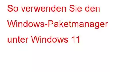 So verwenden Sie den Windows-Paketmanager unter Windows 11