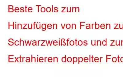 Beste Tools zum Hinzufügen von Farben zu Schwarzweißfotos und zum Extrahieren doppelter Fotos