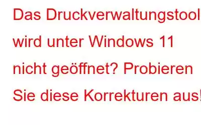 Das Druckverwaltungstool wird unter Windows 11 nicht geöffnet? Probieren Sie diese Korrekturen aus!