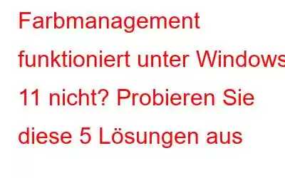 Farbmanagement funktioniert unter Windows 11 nicht? Probieren Sie diese 5 Lösungen aus