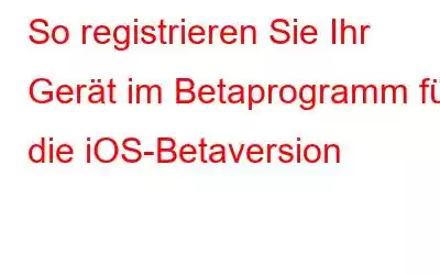 So registrieren Sie Ihr Gerät im Betaprogramm für die iOS-Betaversion