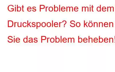 Gibt es Probleme mit dem Druckspooler? So können Sie das Problem beheben!