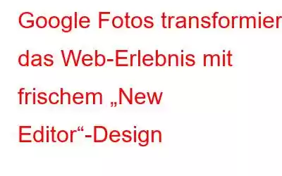 Google Fotos transformiert das Web-Erlebnis mit frischem „New Editor“-Design