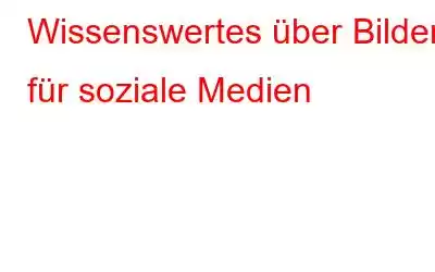 Wissenswertes über Bilder für soziale Medien